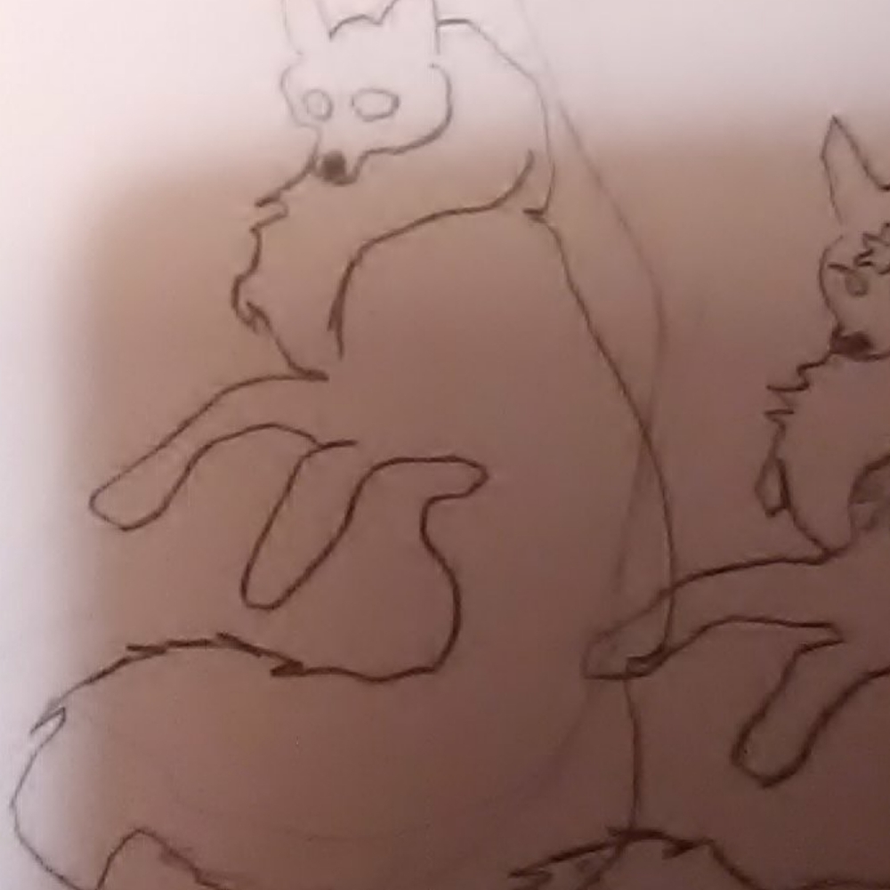 Wolf drawing